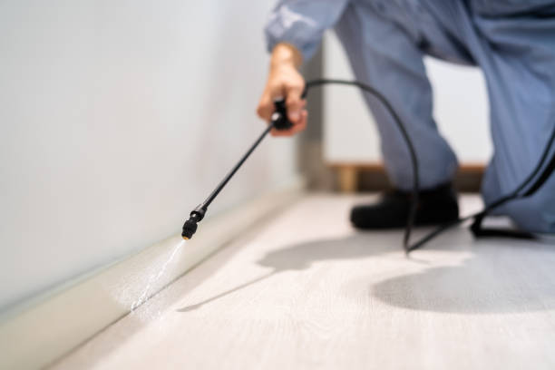 Bed Bug Pre-Treatment Preparation Assessment in Ray City