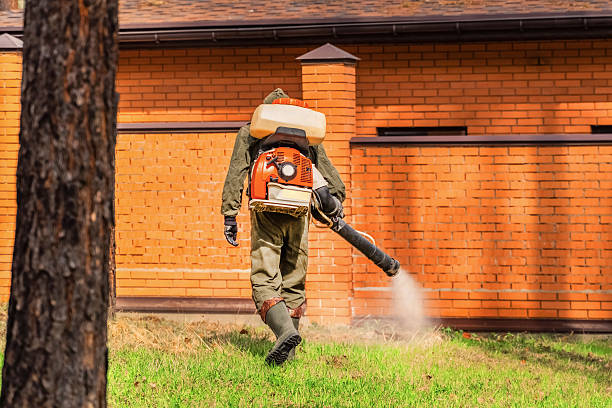 Bed Bug Clearance Verification and Documentation in Ray City